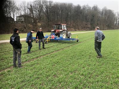 Treffler-Striegel im Einsatz