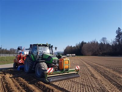 Kartoffelsetzen im Feld